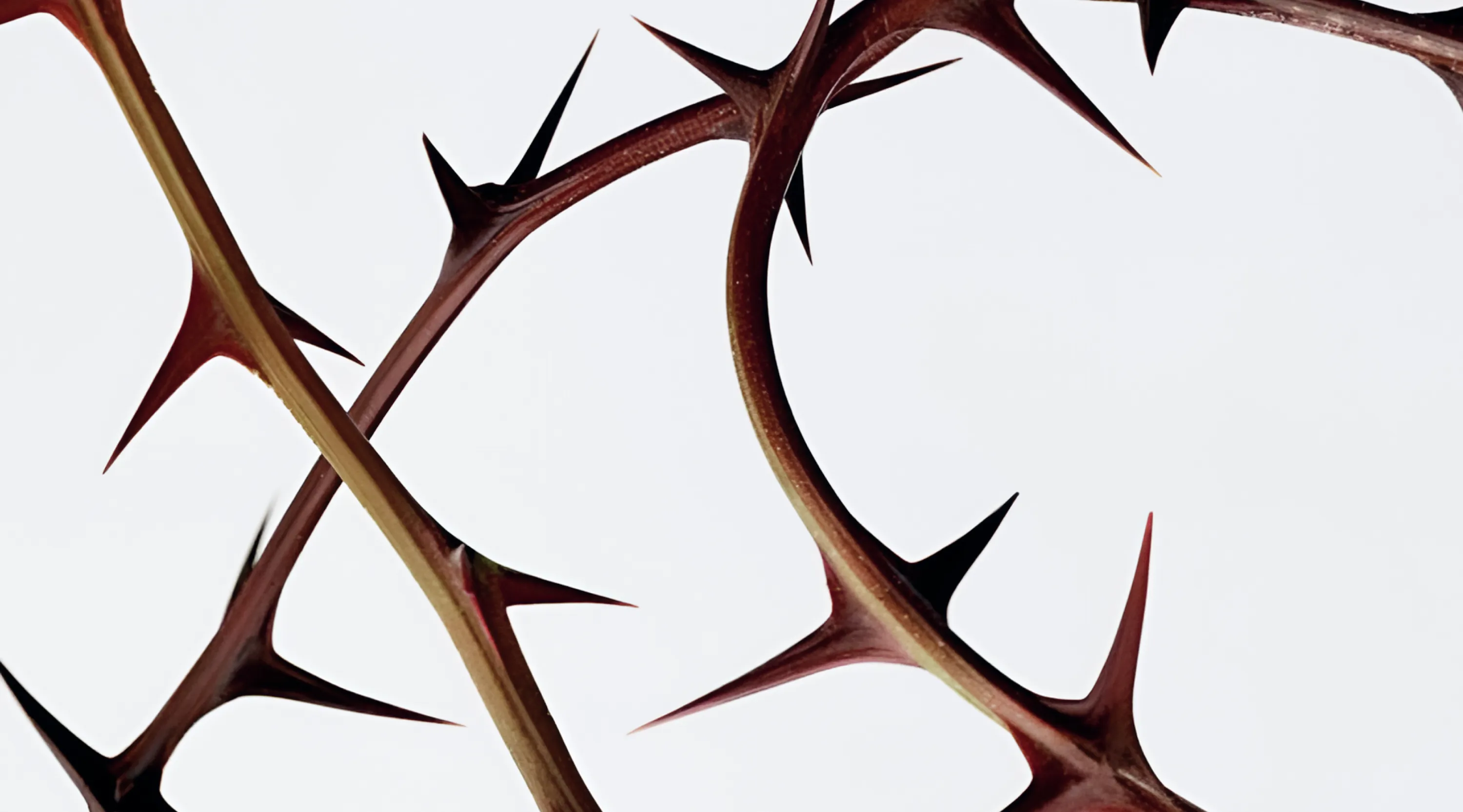 Скинтеллектуальное решение